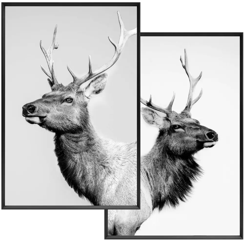 Wandbilder 2fach sortiert | Deer | 20x30 cm