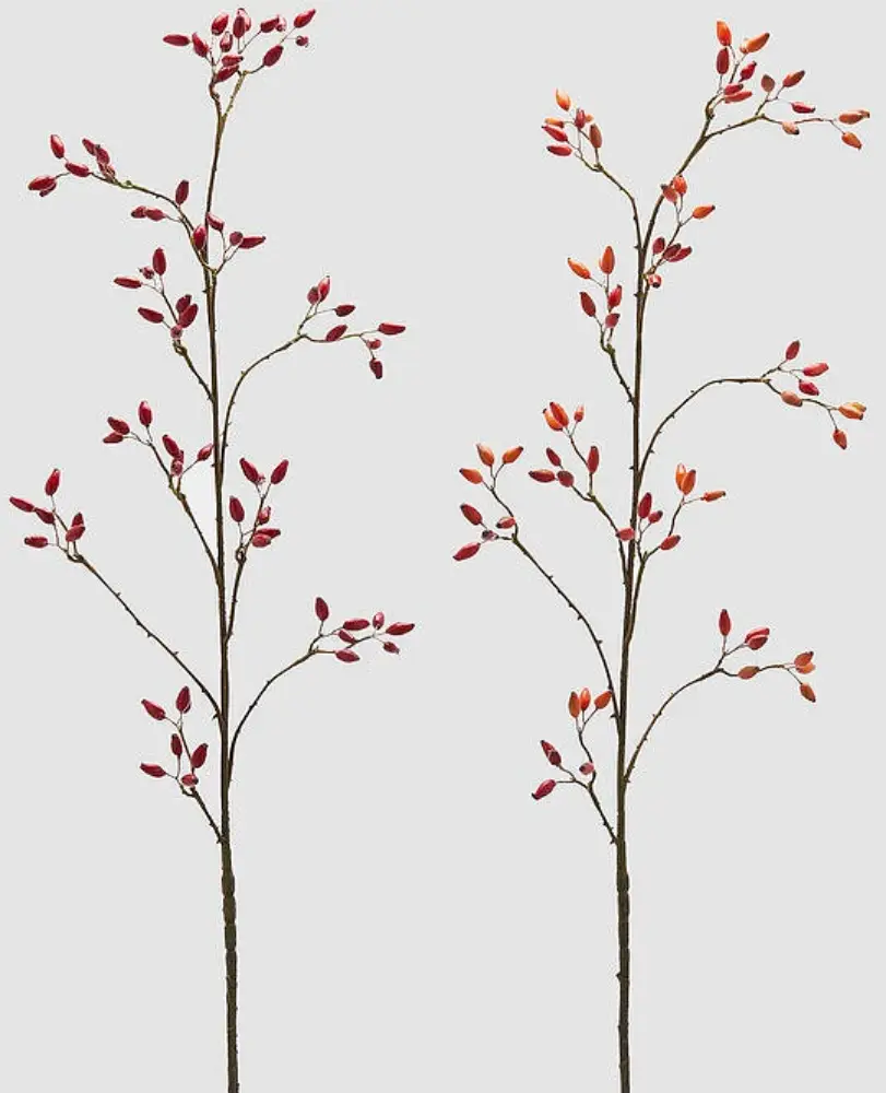 Hagebutte | mix Red 115 cm