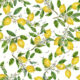 Decke Zitronen 130×130 Outdoor | 100% ACRYLIC (DRALON) + STAIN |