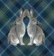Kissen 45×45 | Gobelin Hasen | 75% PES/22% CO/3% Polyacryl
